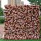 Blush Rose Flower Wall (#FRD017)