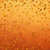 Golden Harvest Pillow Cover Backdrop
