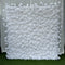 Peony Orchid Flower Wall (#FRD003)