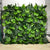 Serenity Garden Flower Wall (#FRD022)