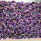 Violet Luxe Flower Wall (#FRD024)