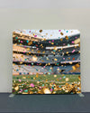 Championship Celebration – Single-Sided Pillow Cover Backdrop