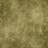 Willow Pillow Cover Backdrop