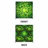 Emerald Fortune Double-Sided Pillowcover Backdrop - Cover