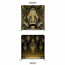 Gilded Noir Double-Sided Pillowcover Backdrop