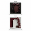 Midnight Crimson Double-Sided Pillowcover Backdrop - Cover