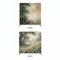 Ethereal Willow Double-Sided Pillowcover Backdrop