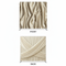 Champagne Ivory Double-Sided Pillowcover Backdrop
