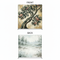 Gilded Morning Double-Sided Pillowcover Backdrop