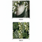 Emerald Silk Double-Sided Pillowcover Backdrop