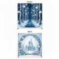 Midnight Frosted Double-Sided Pillowcover Backdrop