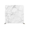 White And Grey Marble 1 Pillow Cover Backdrop