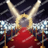 Starry Night Premiere digital backdrop by True Backdrops featuring a vibrant starry sky design for creative projects.