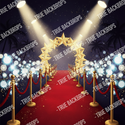 Starry Night Premiere digital backdrop by True Backdrops featuring a vibrant starry sky design for creative projects.